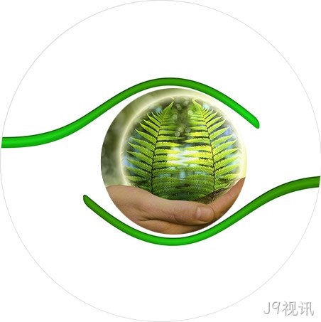2023年人造草坪市场规模如何？